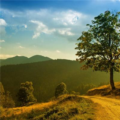 im电竞官方官网截图